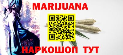 крисы Гай