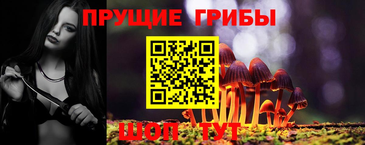 Псилоцибиновые грибы Cubensis Вязники